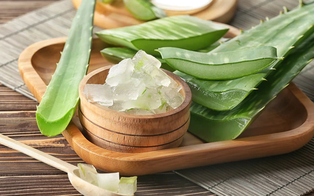 Many Health Benefits are offered by Aloe Vera