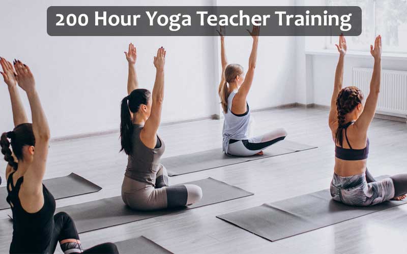Yoga Novice's Guide to 200 Hour Yoga Teacher Training